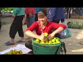 Harvest Persimmons Garden Go To Market Sell, Buy Baby Wild Boars To Raise | Tiểu Vân Daily Life