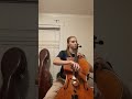 Robin Hood Changes His Oil cello 3