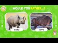 Would You Rather...? ANIMALS Edition 🐶😺 Quiz Shiba