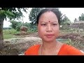 Hi 🙏🙏 Lwgwfwr Jwngha Dinwi Noyao Mai Gaivendwman ### Village Vlog 🌾🌾🌾👍👍
