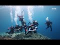 Diving Sipadan/Kapalai 2017