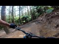 Te Poaka (Redwoods, Rotorua) 4K upload test