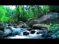 NATURAL RIVER SOUNDS, RIVER SOUNDS FOR SLEEPING, NATURAL BIRD CHIRPING SOUNDS