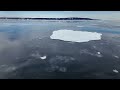 4K | Hokkaido Travel 2 | Drift Ice | Icebreaker Ship 