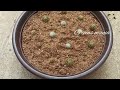 ஒரு காக்டஸ் லிருந்து பல காக்டஸ் உருவாக்கலாம் வாங்க/Cactus Propogation