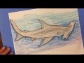 How to Draw a Hammerhead Shark Step by Step Part 1