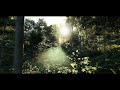 Forest - Unreal Engine 5.2