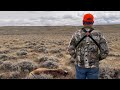 Catching Raindrops and Earning Antlers: Our small, but mighty Southwest Wyoming Elk Hunt!