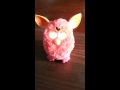 Ammie's furby.......ugly and pesky