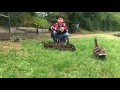 Dan feeding ducks