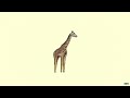 Giraffe Beat * (Prod. by Dirty Dollar Beatz)