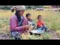 This is Himalayan Nepali village life || most peaceful And Relaxing village life || Nepali village