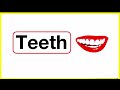 5 Letter Words List 🤔 | Phonics lesson | Reading Lesson | Learn with examples