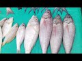 MURANG ISDA | PRESYONG PANG MASA! #malabon #buraotan #fishport #fyp #tardunz #angpinaka #kafarmer