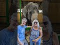 Myakka Elephant Adventure 2022