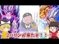 【ドッカンバトル】9周年第2弾！孫悟飯ビーストのために全龍石を使います！！！