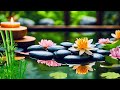 Candle Meditation Music Sleep Music Spiritual Candle Stress Relief Relaxing Music #spa #sleep #relax