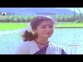 Aasaiyilae pathi katti song ஆசையிலே பாத்தி கட்டி 4K Video Song | #tamilsongs | Susheela | ilaiyaraja