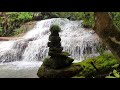 Relaxing Forest Waterfall Nature Sounds Birds Singing - Soothing Natural Sound Of Water Relaxation.