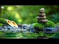 Relaxation Music: soothing water sounds, Full Nature Sound Brain Therapy, Sleep Relaxation, Insomnia