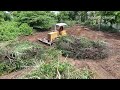 Skills Operator Bulldozer Komatsu D31p Working Clearing Forest And Breakdown Tree Size 45X 120 Meter