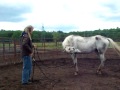 Natural Horsemanship Clinic - Stormy Part II