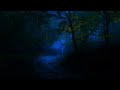 Relaxing Dark Forest / Rain Sounds & Thunder Sounds in the Misty Green Forest Road / Deep Relaxation