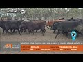 🔴EN VIVO | Esp. FAENAR TV,  Expo Rural 24, desde Palermo | Alfredo S. Mondino, 23-07-24🔴