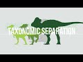 Pachycephalosaurus: Are Stygimoloch and Dracorex Valid?