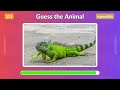 Guess 150 Animals in 3 Seconds! | Easy, Medium, Hard, Impossible Levels
