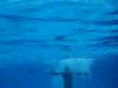sony underwater cam 3