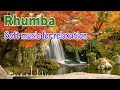 Rhumba melody, Soft music for relaxation 2024, positive instrumental music beautify your soul