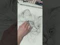 Drawing a cat,  Rysowanie kotka.   Muzyka: I Just Need LoveMuzyk: AruloURL: https://mixkit.co/