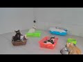Cute! Silly cats 🤣🐱 Best Funny Animal Videos 😹