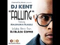 Falling (feat. Malehloka Hlalele)