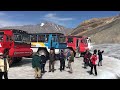 Drinking Glacier Water at Columbia Icefields