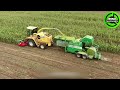 The Most Modern Agriculture Machines That Are At Another Level,How To Harvest Onions In Farm▶21