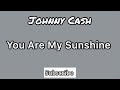 Johnny Cash - You Are My Sunshine (Cover)