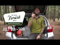 My Favorite Car Camping Gear - Cook & Sleep System