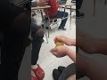 friend brings a snake to school