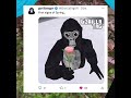 NEW GORILLA TAG UPDATE IS SICK… (gorilla tag VR)