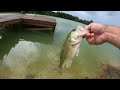 One Year Ago We Added Bass to the 5 Acre Pond - Here's What Happened