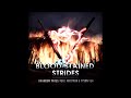 Blood Stained Strides - Vocal Version w/@TysonYen & @lnfotron (Raiden vs Hiryu Strider)