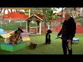 CESAR MILLAN TEACHES YOU HOW TO USE THE LEASH!