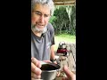How to Brew Yaupon Tea with John 
