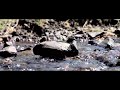 Carding Mill Valley (Summer 2016)