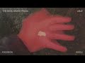 The Devil Wears Prada - Reasons (feat. LØLØ) [Official Visualizer]