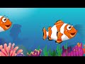 Fish Animation in Adobe Animate CC | Adobe Animate Tutorial for Beginners