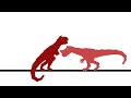 SNDF | CERATOSAURUS VS CARNOTAURUS (Short animation) [Stick nodes]