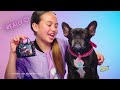 Cutie Carries Micro Puppy Carrier | Real Littles